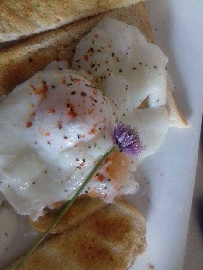 Westhouse Cafe N39 E0A6 Bed & Breakfast ลองฟอร์ด ภายนอก รูปภาพ